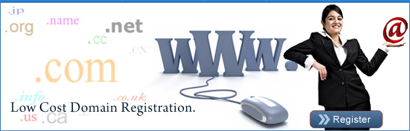 Web Hosting Company India